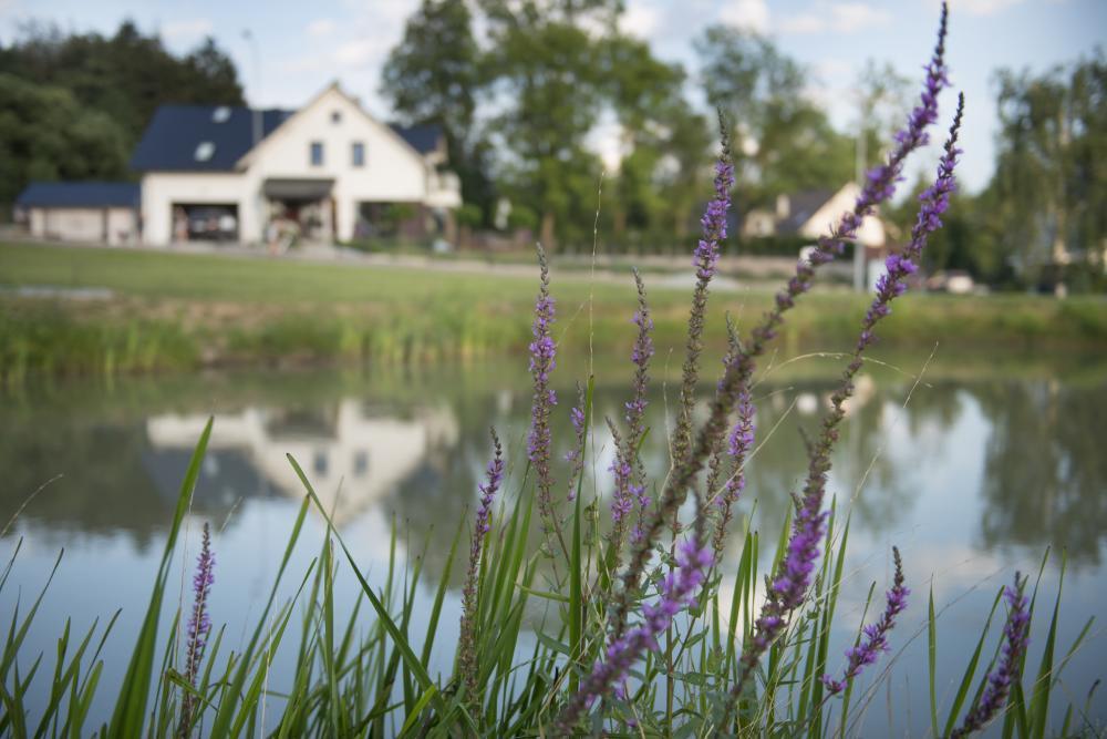 Apartamenty U Harrego I Przy Stawie Spa Z Klimatyzacja, Balia, Sauna, Ogrodem I Parkingiem クドヴァ・ズドゥルイ エクステリア 写真